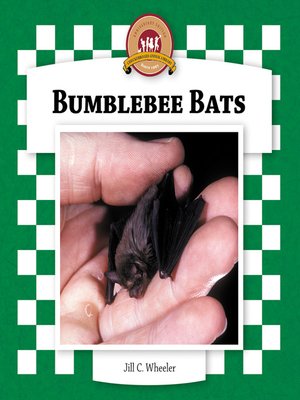 cover image of Bumblebee Bats